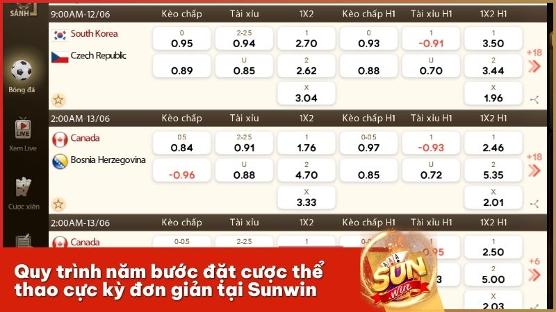 Chi tiết năm bước thực chiến đặt cược chuyên nghiệp tại sảnh thể thao Sunwin