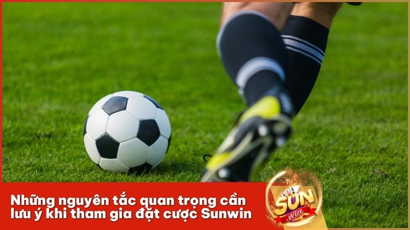 Tổng hợp các lưu ý vàng giúp bạn đặt cược thông minh tại cổng Sunwin